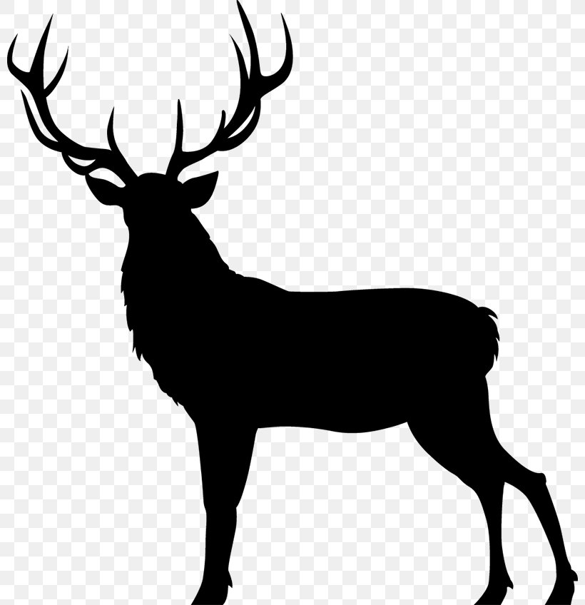 Red Deer Elk 西美濃乃国 養老猪鹿産業 Photography, PNG, 800x848px, Red Deer, Antler, Black And White, Cervus, Deer Download Free