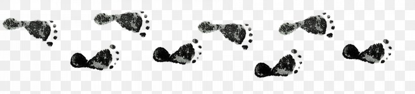 Footprints Shoe Information, PNG, 1909x434px, Footprints, Black, Black And White, Foot, Footprint Download Free