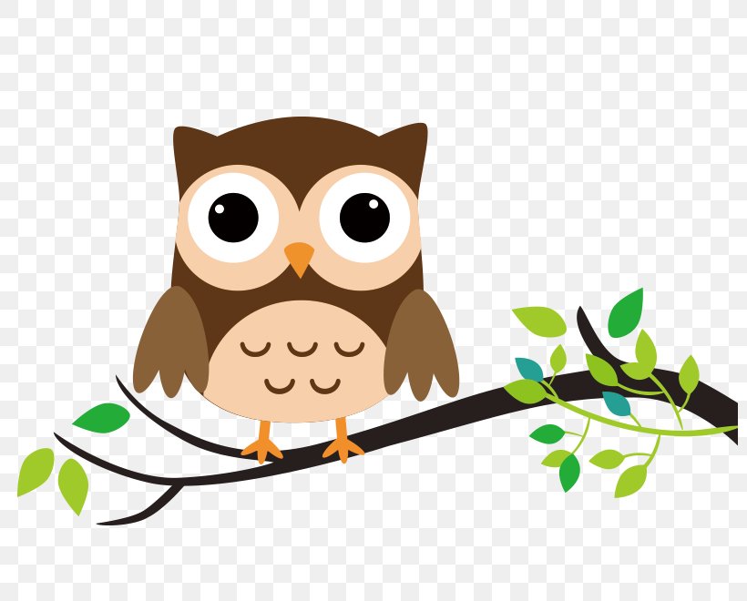 Owl Drawing Cartoon Clip Art, PNG, 800x660px, Owl, Art, Beak, Bird, Bird Of Prey Download Free