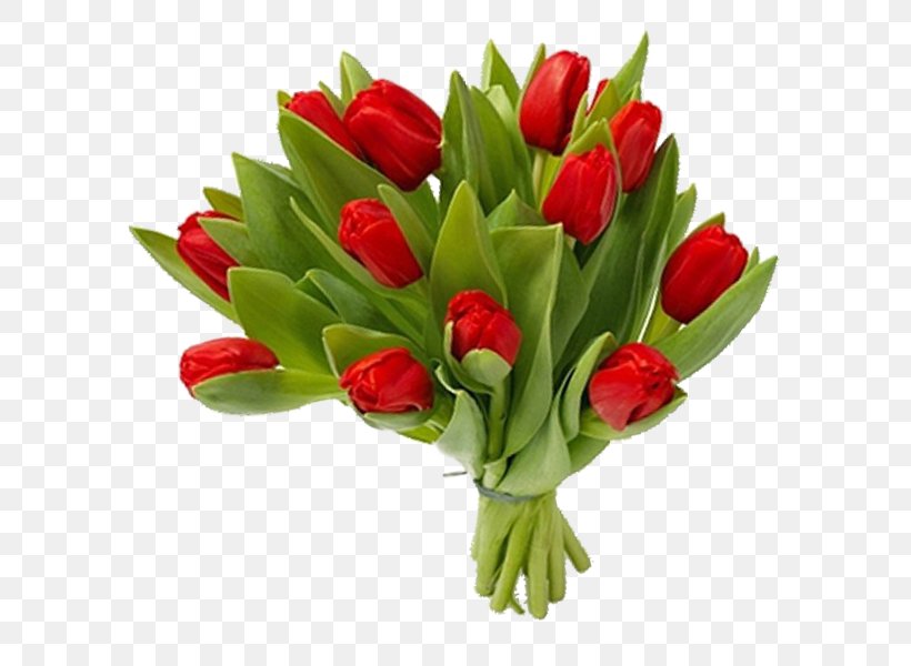 Tulip Floral Design Cut Flowers Flower Bouquet, PNG, 600x600px, Flower Bouquet, Cut Flowers, Digital Image, Floral Design, Floristry Download Free