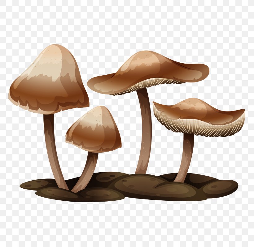 Edible Mushroom Mushroom Poisoning Illustration, PNG, 800x800px, Mushroom, Adobe Creative Cloud, Amanita Muscaria, Common Mushroom, Drawing Download Free