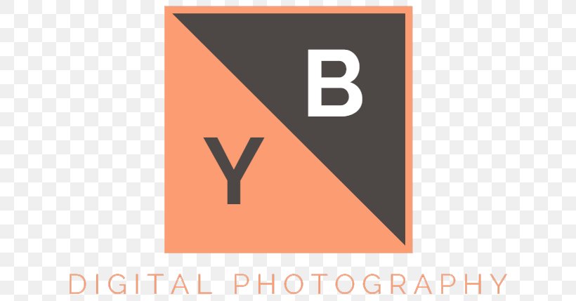 Logo Product Design Brand Font, PNG, 625x429px, Logo, Area, Brand, Orange, Text Download Free