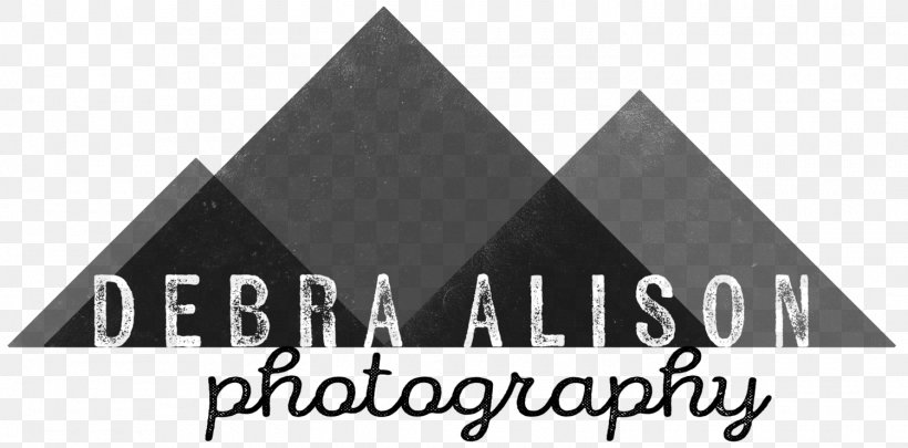 Debra Alison Photography Photographer Logo Basecamp Classic, PNG, 1500x741px, Photographer, Basecamp, Basecamp Classic, Boudoir, Brand Download Free