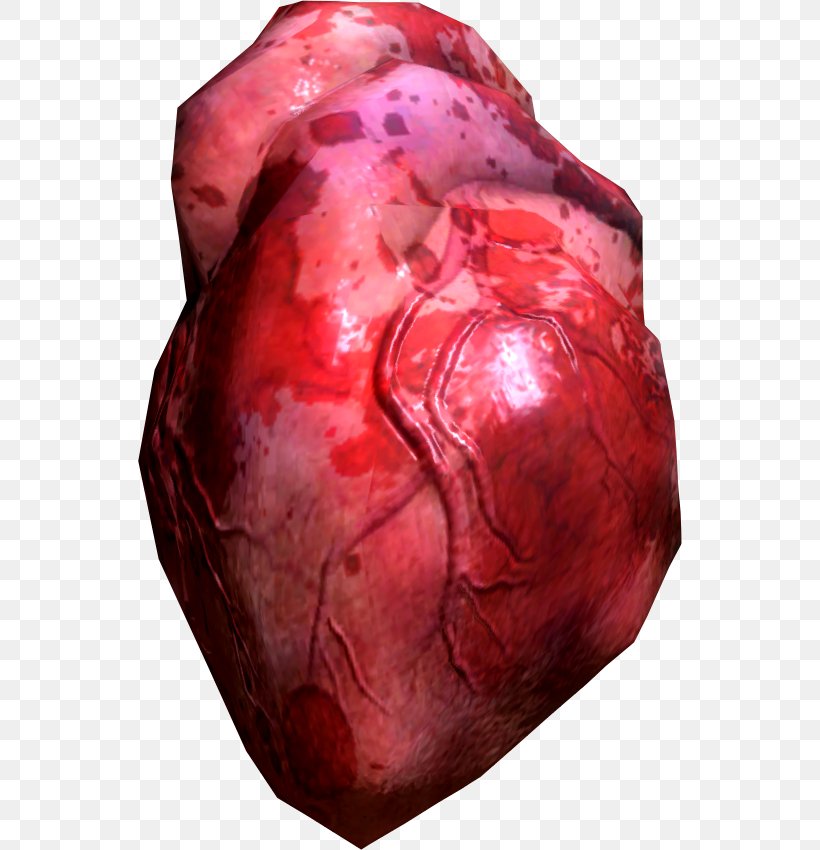 Heart Human Body Clip Art, PNG, 544x850px, Watercolor, Cartoon, Flower, Frame, Heart Download Free