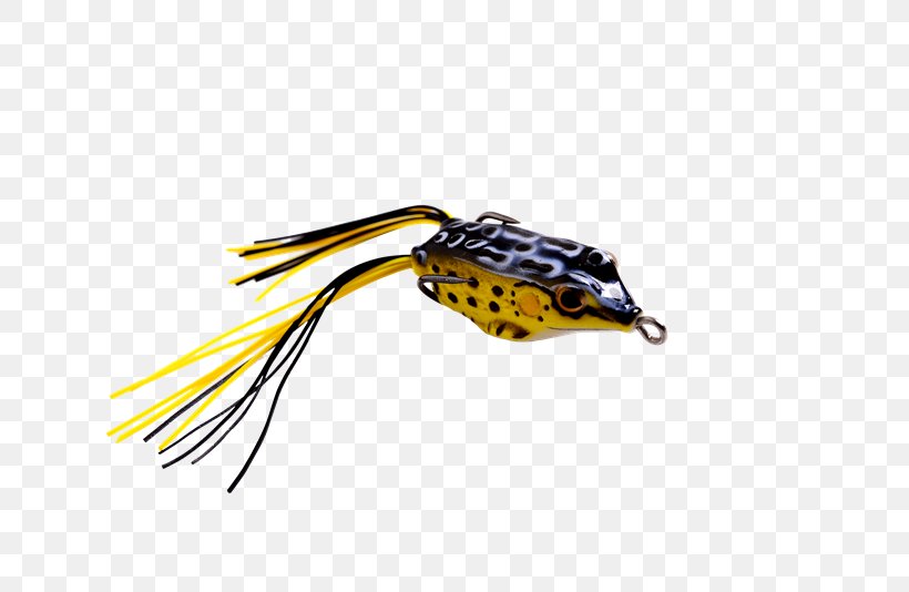Insect Spinnerbait, PNG, 800x534px, Insect, Amphibian, Fishing Bait, Membrane Winged Insect, Spinnerbait Download Free