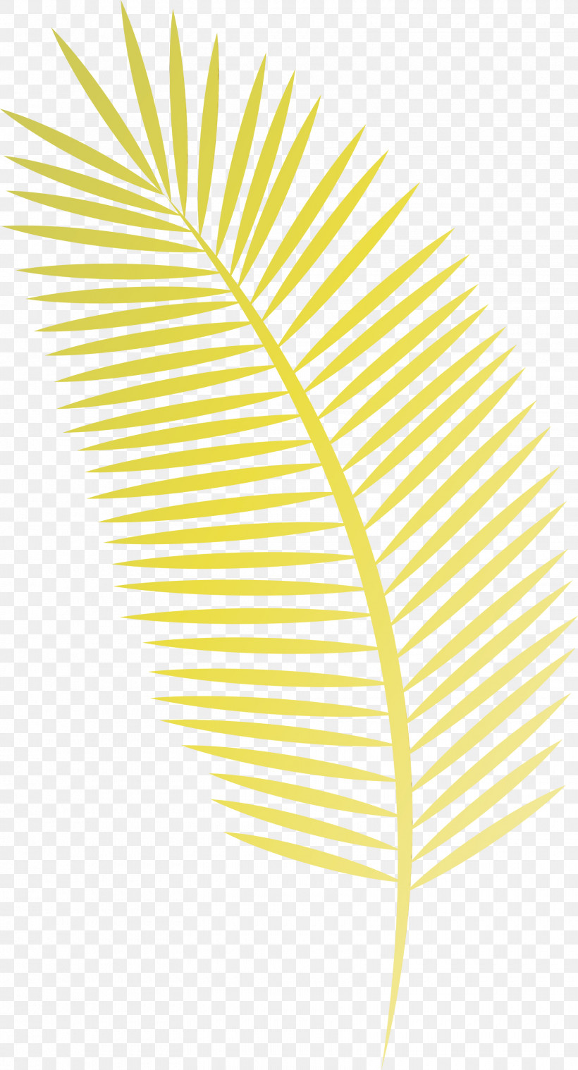 Palm Trees, PNG, 1620x2999px, Arabian Landscape, Angle, Art Museum, Leaf, Mtree Download Free