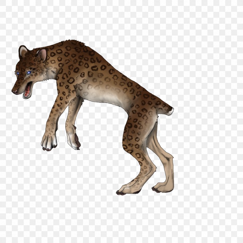 Cat Cheetah Mammal Animal Carnivora, PNG, 1000x1000px, Cat, Animal, Animal Figure, Big Cat, Big Cats Download Free