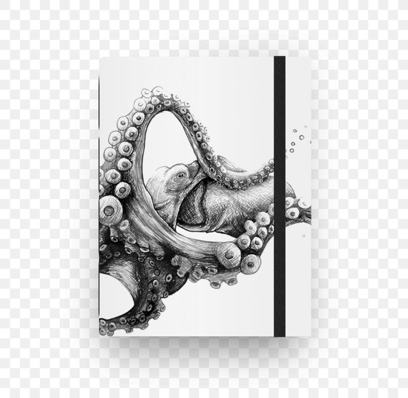 Notebook Drawing Spiral Black And White Art, PNG, 800x800px, Notebook, Art, Black, Black And White, Cephalopod Download Free