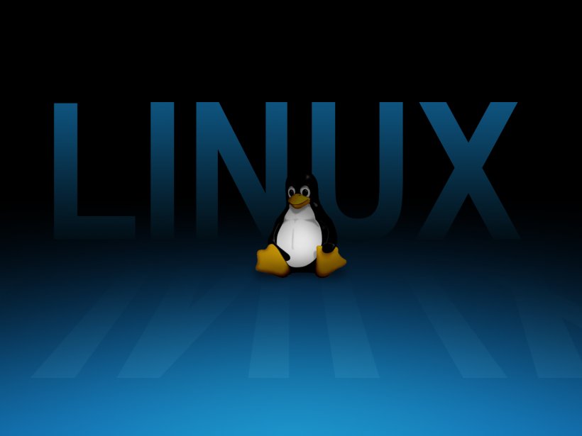Penguin Tux Linux Desktop Wallpaper Display Resolution, PNG, 1600x1200px, Penguin, Beak, Bird, Blue, Darkness Download Free