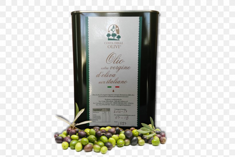 Bag-in-box Olive Oil Soc. Coop. Olivicoltori Valle Del Cedrino-Costa Degli Olivi, PNG, 1450x967px, Baginbox, Bag, Beg, Com, Condiment Download Free