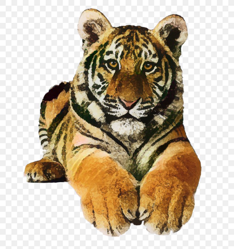 Clip Art White Tiger Felidae Bengal Tiger, PNG, 724x870px, White Tiger, Animal Figure, Bengal Tiger, Big Cats, Carnivore Download Free