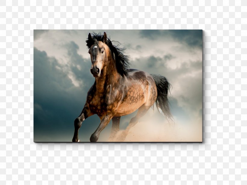 Gallop Mustang Thoroughbred Desktop Wallpaper Pony, PNG, 1400x1050px, Gallop, Bridle, Canvas, Computer Monitors, Duvet Cover Download Free