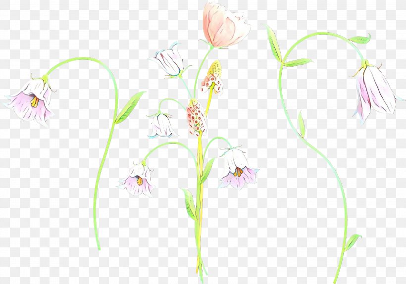 Pedicel Flower Plant Pink Plant Stem, PNG, 2999x2102px, Cartoon, Alismatales, Flower, Flowering Plant, Pedicel Download Free