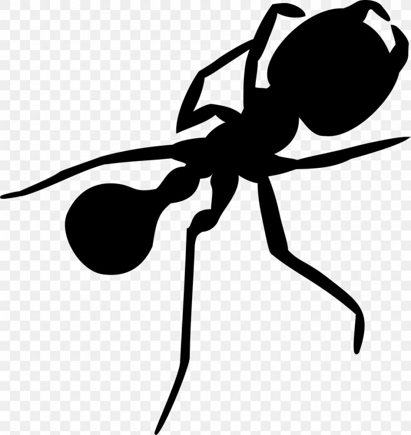 Ant Insect Silhouette Clip Art, PNG, 944x1000px, Ant, Art, Arthropod, Artwork, Black Download Free