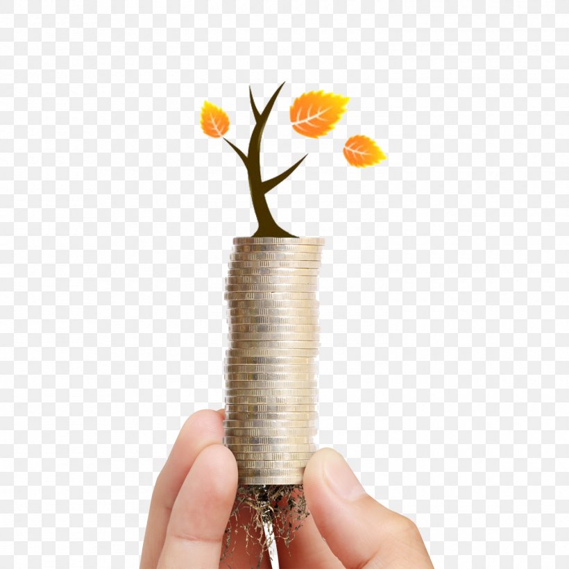 Bonsai U56edu827au76c6u666f Seedling Green, PNG, 1500x1500px, Bonsai, Finger, Flowerpot, Germination, Green Download Free