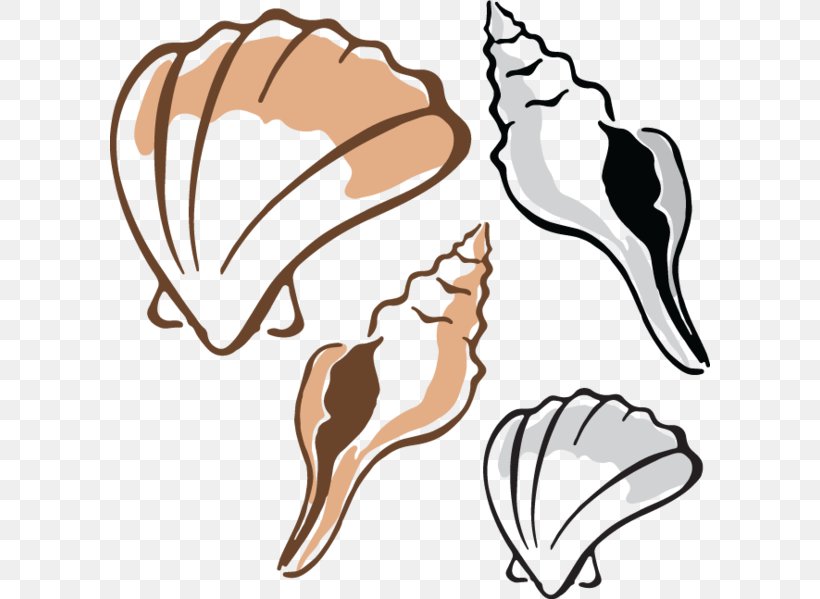 Clam Mussel Oyster Seashell Clip Art, PNG, 600x599px, Clam, Artwork, Beak, Claw, Conch Download Free