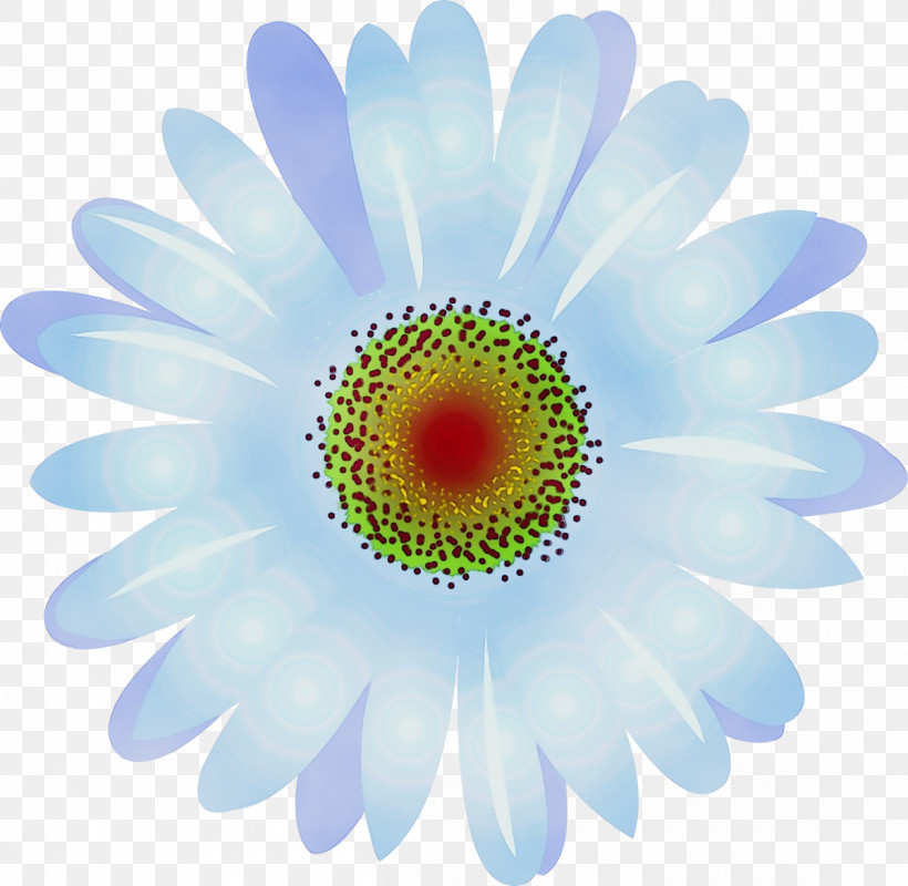 Daisy, PNG, 1200x1171px, Watercolor, Aster, Barberton Daisy, Camomile, Chamomile Download Free