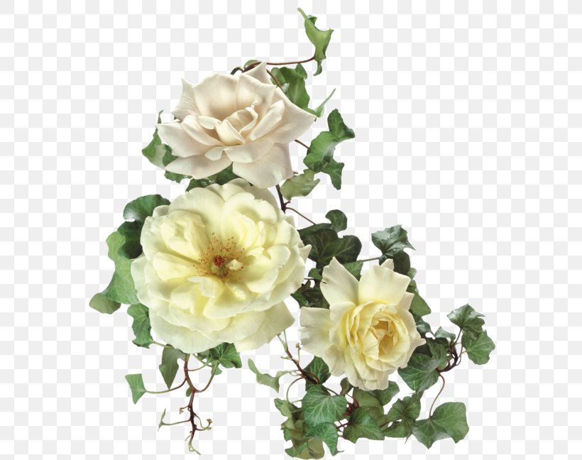 Garden Roses Clip Art, PNG, 600x648px, Garden Roses, Artificial Flower, Cut Flowers, Digital Image, Floral Design Download Free