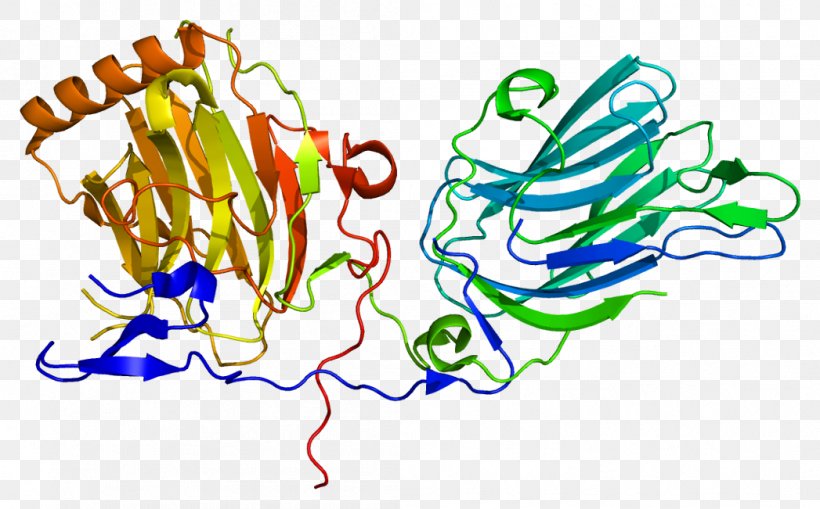 GAS6 Protein Receptor Tyrosine Kinase Gla Domain, PNG, 1047x651px, Watercolor, Cartoon, Flower, Frame, Heart Download Free