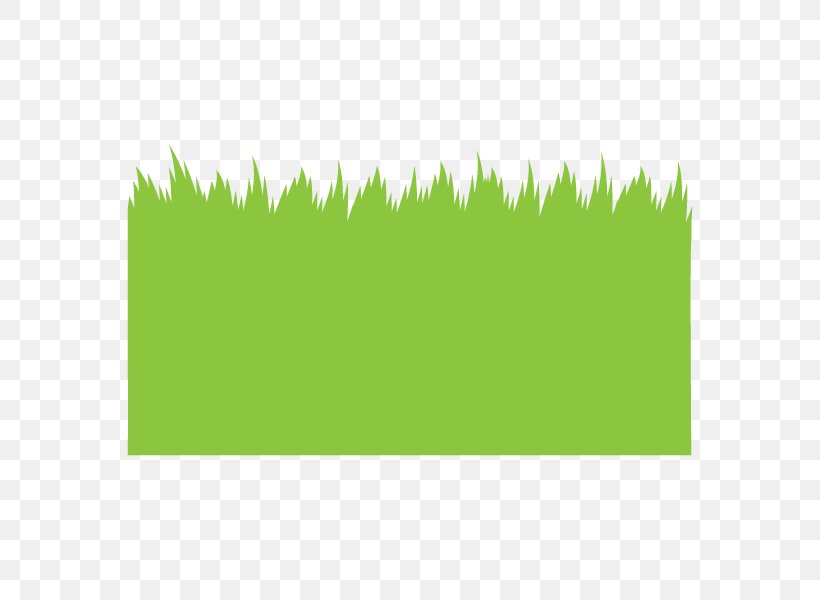 Lawn Grasses Angle Font Leaf, PNG, 600x600px, Lawn, Grass, Grass Family, Grasses, Green Download Free