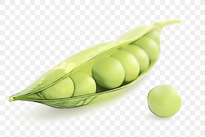 Vegetable Cartoon, PNG, 1081x720px, Pea, Commodity, Food, Fruit, Green Download Free