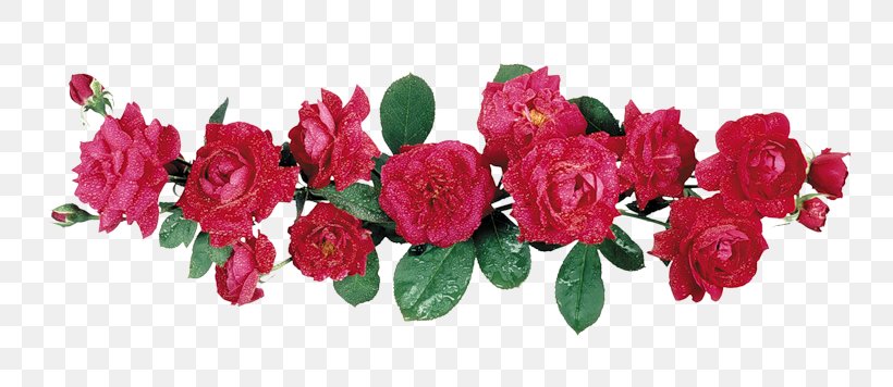 Animaatio Rose Blog, PNG, 800x356px, Animaatio, Avatar, Blog, Cut Flowers, Floral Design Download Free