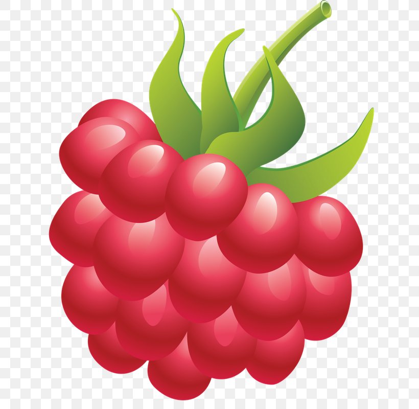 Clip Art Red Raspberry Berries, PNG, 648x800px, Raspberry, Berries, Berry, Blackberry, Cherry Download Free
