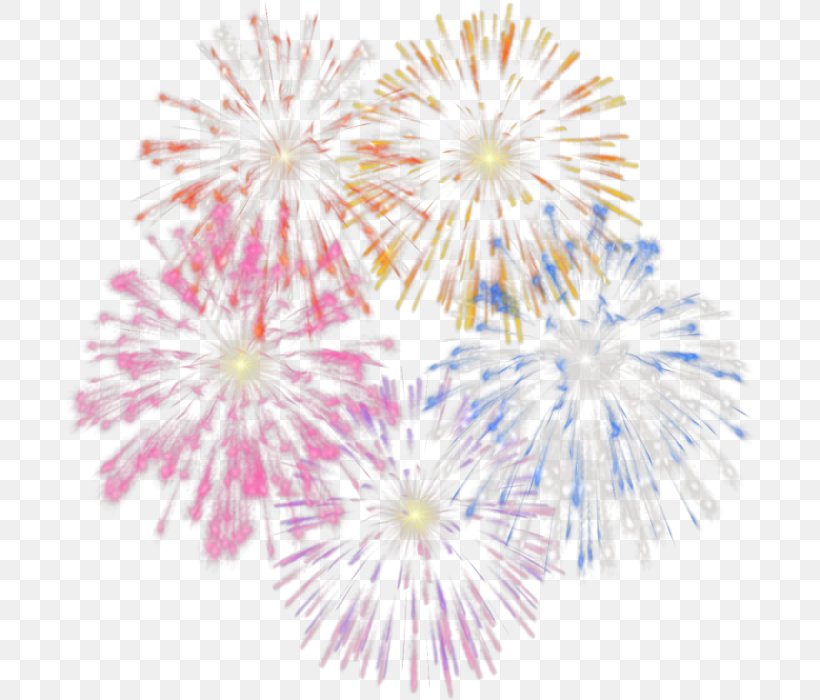 Fireworks Clip Art, PNG, 690x700px, Fireworks, Dahlia, Flower, Flowering Plant, Independence Day Download Free