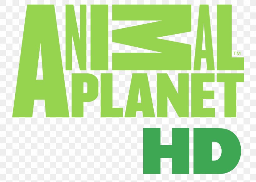 High-definition Television Animal Planet HD Television Channel, PNG, 840x600px, Highdefinition Television, Ae Network, Animal Planet, Animal Planet Hd, Area Download Free