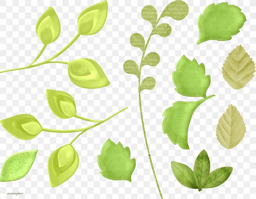 Leaf Clip Art, PNG, 3352x2605px, Leaf, Branch, Copyright, Environmental Protection, Flower Download Free