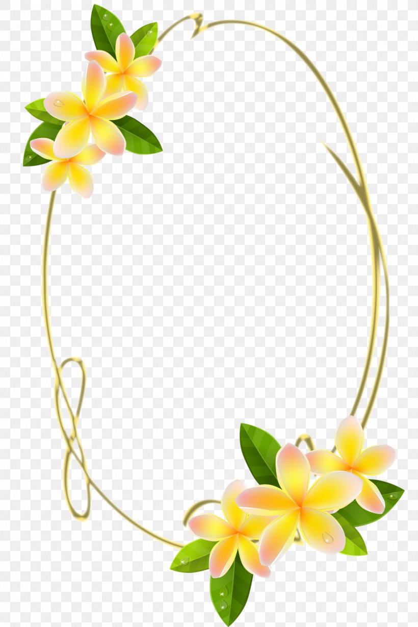 Frangipani Royalty-free Stock Photography Clip Art, PNG, 1067x1600px, Frangipani, Body Jewelry, Can Stock Photo, Cut Flowers, Drawing Download Free
