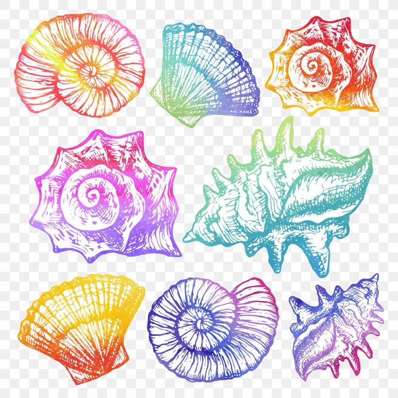 Watercolor Painting Cartoon Seashell Illustration, PNG, 1000x1000px, Watercolor Painting, Art, Cartoon, Conch, Flower Download Free