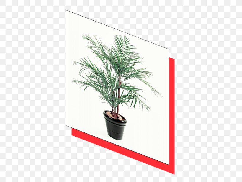 Date Palm Areca Palm Flowerpot Houseplant Arecaceae, PNG, 500x617px, Date Palm, Areca Palm, Arecaceae, Arecales, Banana Download Free