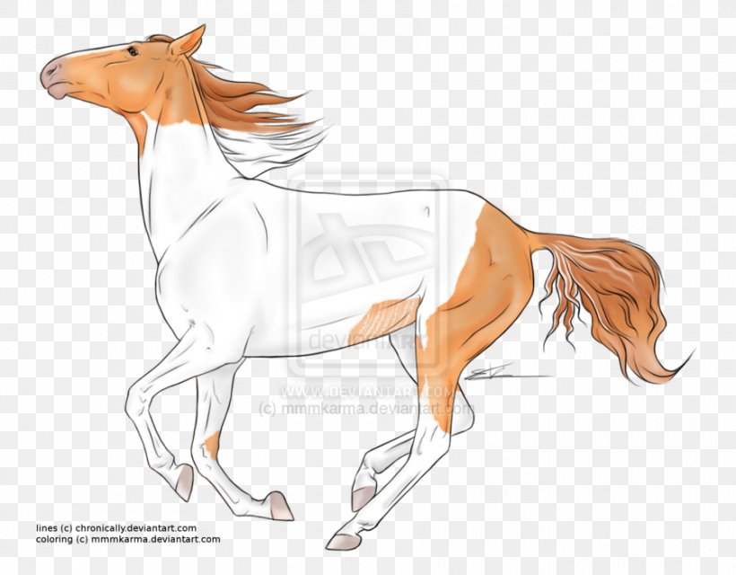 Foal Stallion Pony Colt Mustang, PNG, 900x703px, Foal, Animal Figure, Art, Artwork, Bridle Download Free
