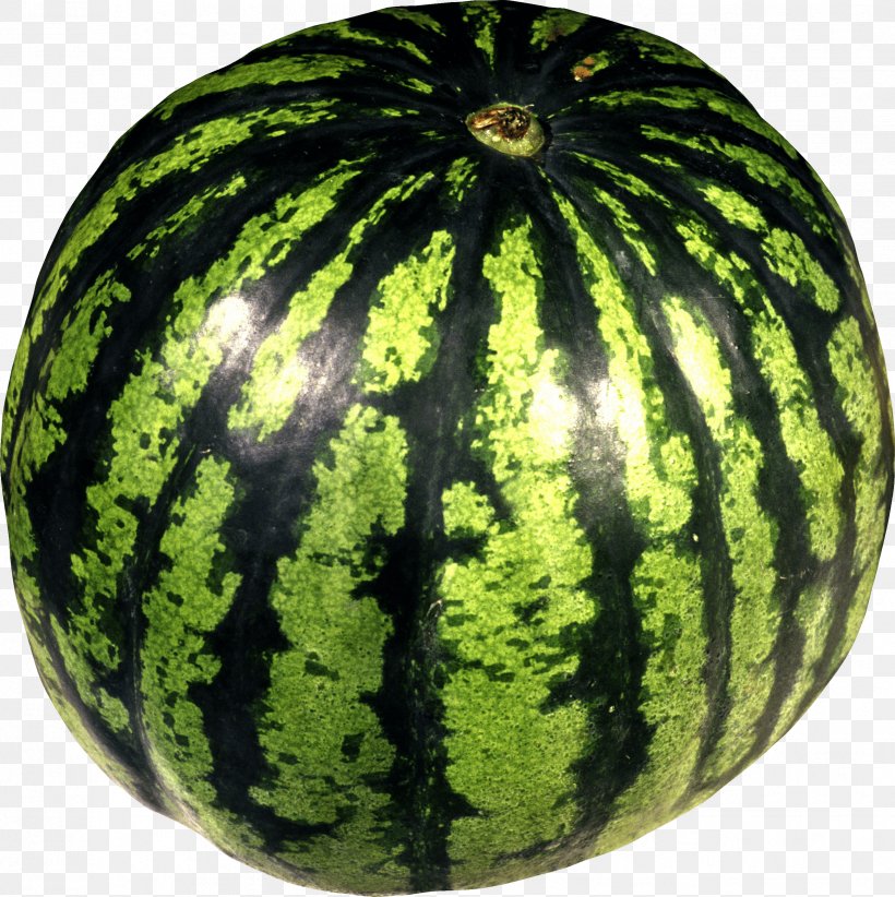 Juice Watermelon Clip Art, PNG, 2446x2454px, Watermelon, Citrullus, Cucumber Gourd And Melon Family, Cucumis, Cucurbita Download Free