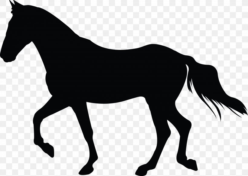 Mustang Foal Silhouette Pony Stallion, PNG, 2571x1827px, Mustang, Black, Black And White, Bridle, Colt Download Free