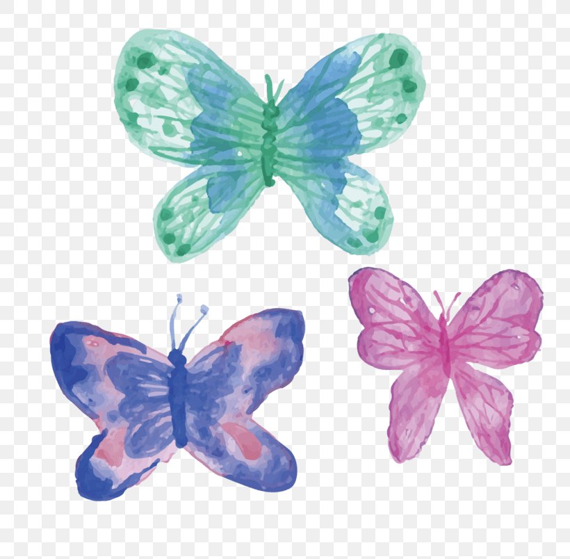 Watercolor Painting Vector Graphics Image Drawing, PNG, 804x804px, Watercolor Painting, Art, Butterfly, Common Blue, Drawing Download Free