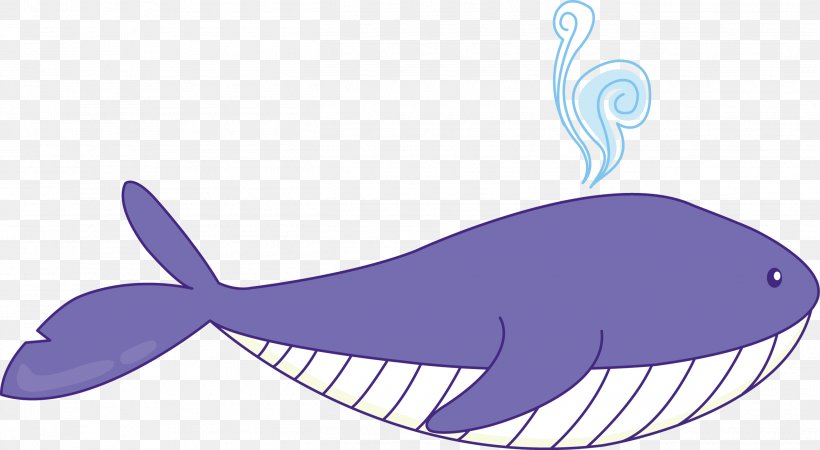 Whale Euclidean Vector Drawing, PNG, 2630x1446px, Whale, Animation, Baleen Whale, Blue, Blue Whale Download Free