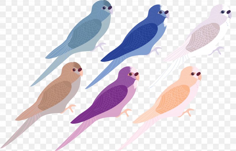 Bird Download, PNG, 5295x3393px, Bird, Animal, Beak, Blue, Color Download Free