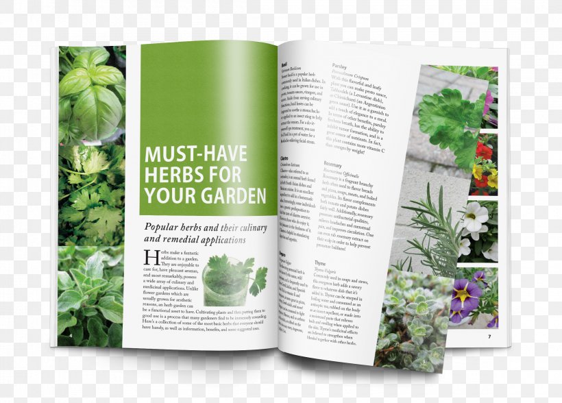 Herbalism Magazine Gardening Article, PNG, 2300x1650px, Herb, Article, Brand, Brochure, Color Download Free