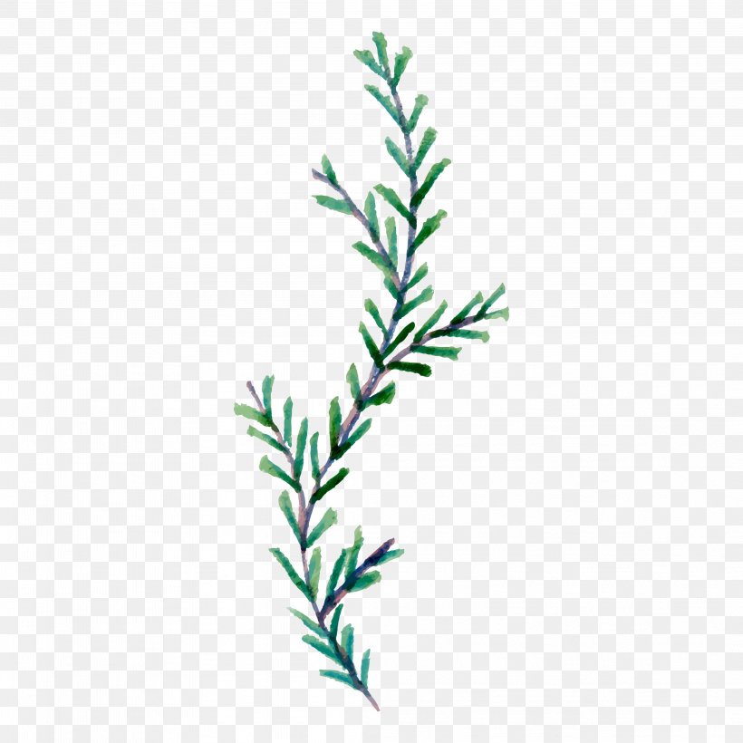 Leaf, PNG, 4167x4167px, Leaf, Branch, Flower, Grass, Grass Family Download Free