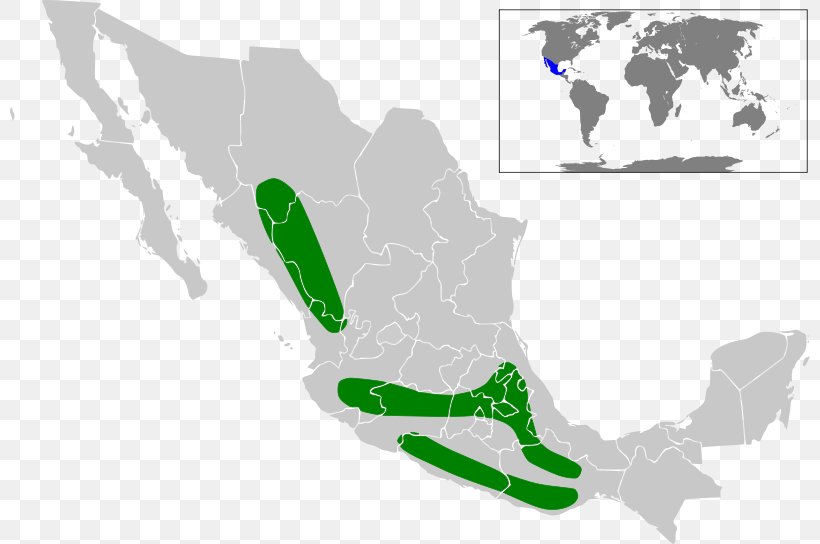 Mexico City Guanajuato United States Map Globe, PNG, 800x544px, Mexico City, Area, Blank Map, City Map, Flag Of Mexico Download Free