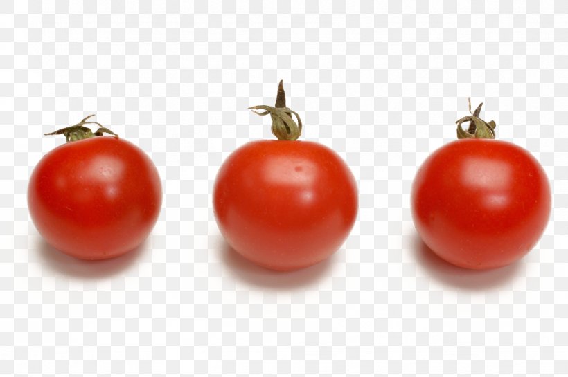 Plum Tomato Cherry Tomato Bush Tomato Vegetarian Cuisine Vegetable, PNG, 1024x681px, Plum Tomato, Acerola, Acerola Family, Barbados Cherry, Bush Tomato Download Free