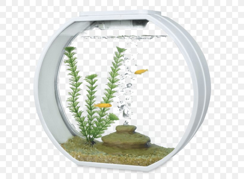 Aquarium Filters Siamese Fighting Fish Aquariums, PNG, 600x600px, Aquarium, Air Pump, Aquarium Filters, Aquariums, Fish Download Free
