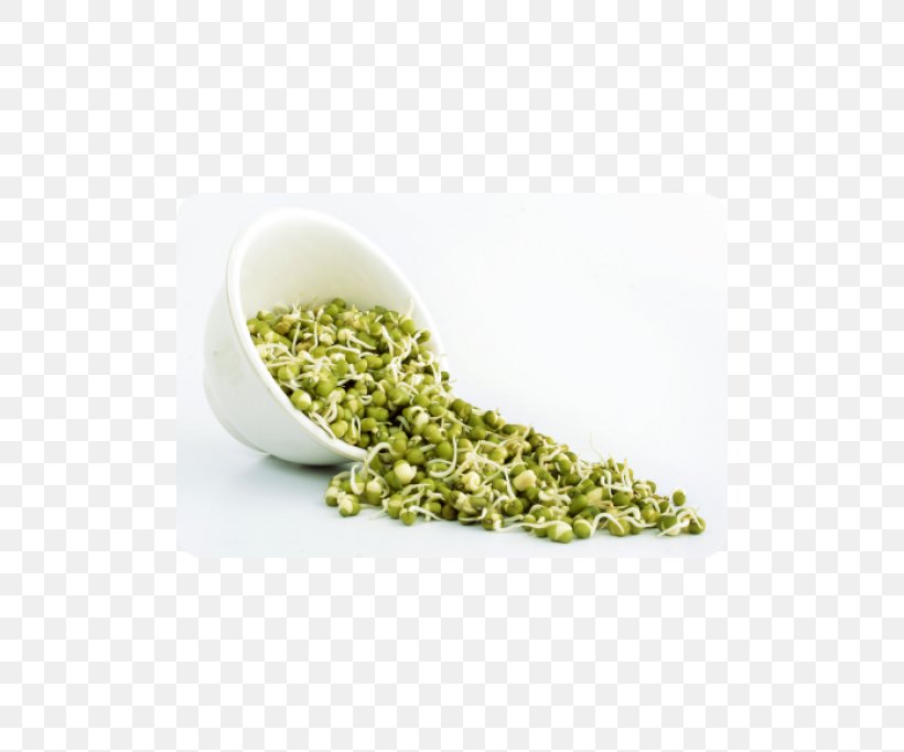 Raw Foodism Sprouting Mung Bean Sprout Nutrition, PNG, 500x682px, Raw Foodism, Bean, Broccoli Sprouts, Cooking, Food Download Free
