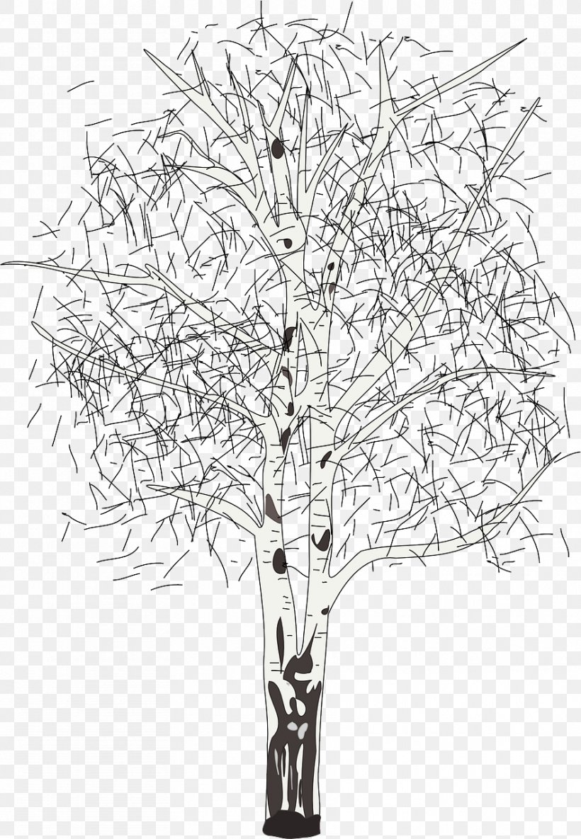 Tree Silver Birch Paper Birch Birch Syrup Clip Art, PNG, 885x1280px, Tree, Birch, Black And White, Branch, Drawing Download Free