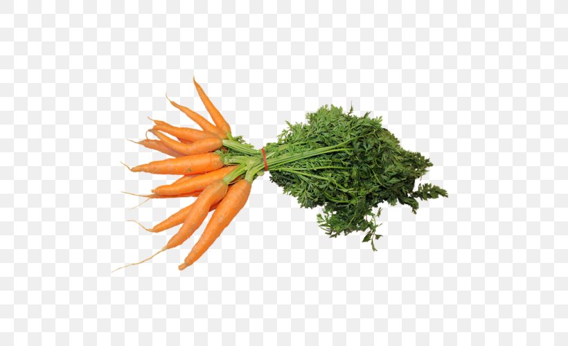 Baby Carrot Vegetable Food, PNG, 500x500px, Carrot, Baby Carrot, Broth, Carrot Seed Oil, Celery Download Free