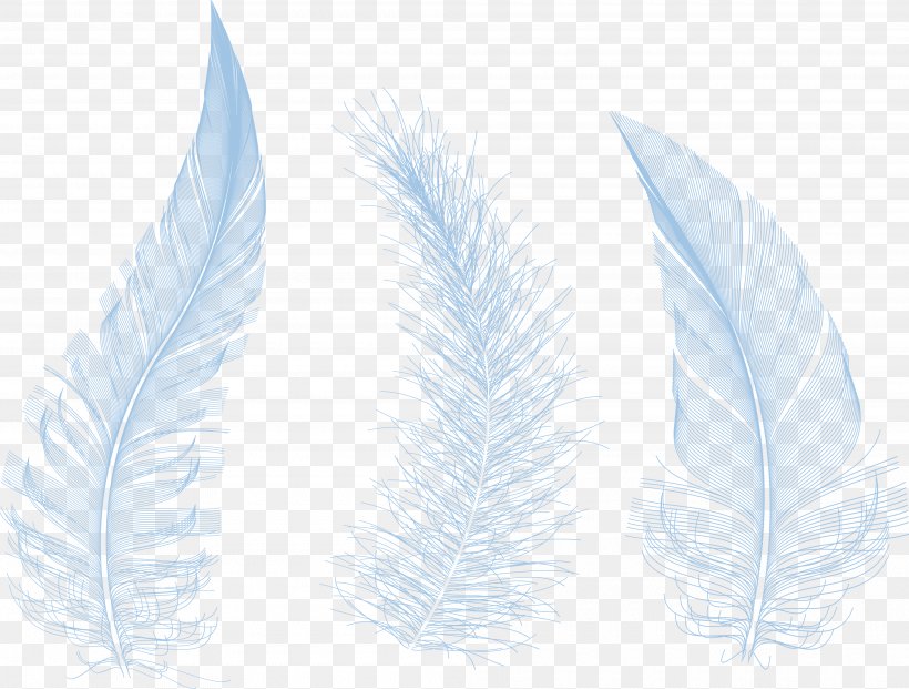 Feather Product Design Leaf, PNG, 4000x3031px, Feather, Leaf, Plant, Wing Download Free