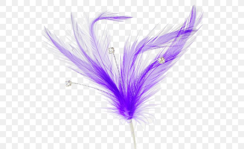 Feather Quill Clip Art, PNG, 573x500px, Feather, Brush, Fountain Pen, Ink, Lavender Download Free