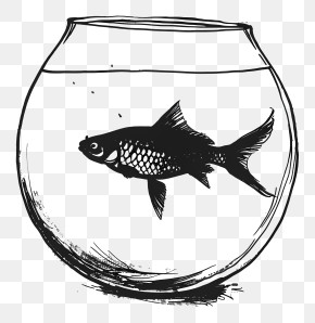 Fish Bowl - Minimalist Fish Bowl Illustration PNG